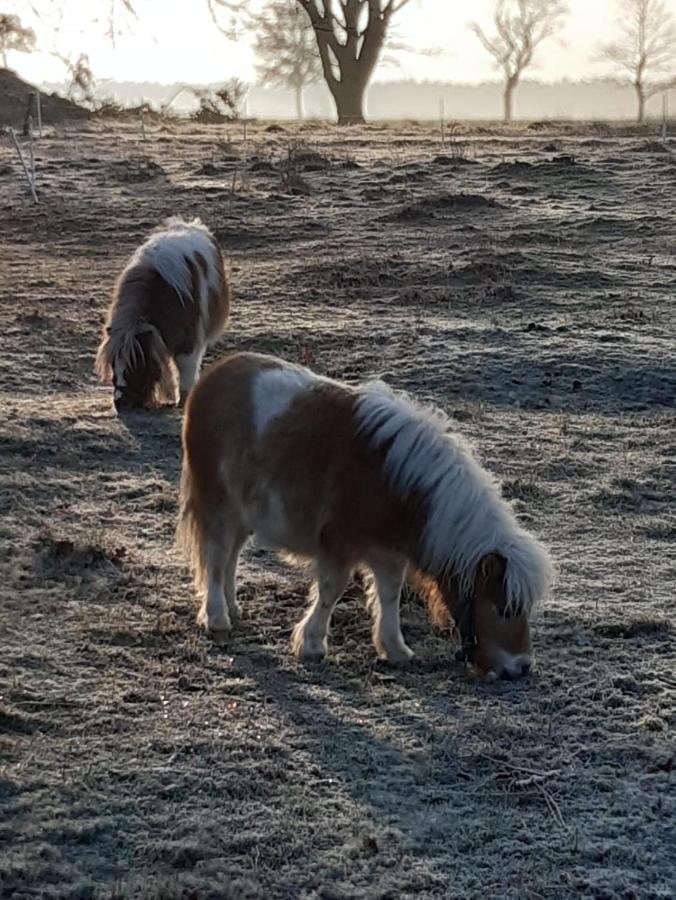 Bismark Gnaden- Und Ferienhof Saale Wittgenstein In The Middle Of Gar Nix מראה חיצוני תמונה